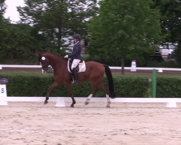 Reitturnier Westeregeln 2024