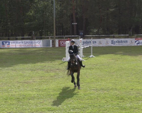 Reitturnier Cottbus-Sielow 2024