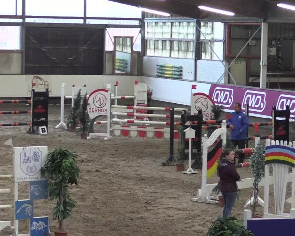 Winter Hallen Reit- und Springturnier, Reithalle Rohmann 2021