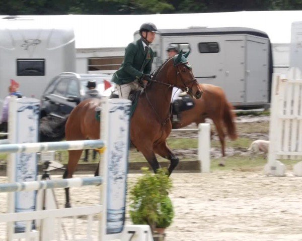 Reitturnier Forst 2024