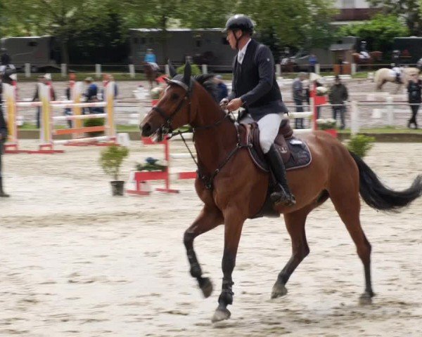 Reitturnier Forst 2024