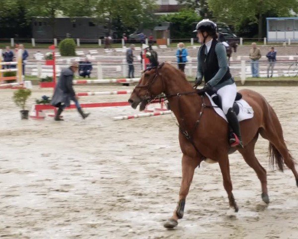 Reitturnier Forst 2024