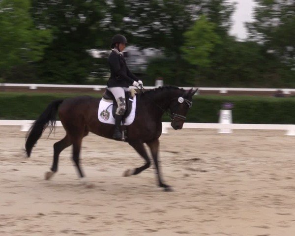 Reitturnier Westeregeln 2024