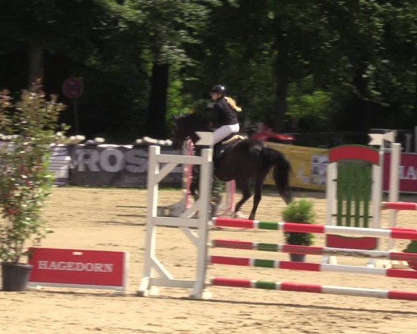 Reitturnier Iserlohn-Kalthof 2024