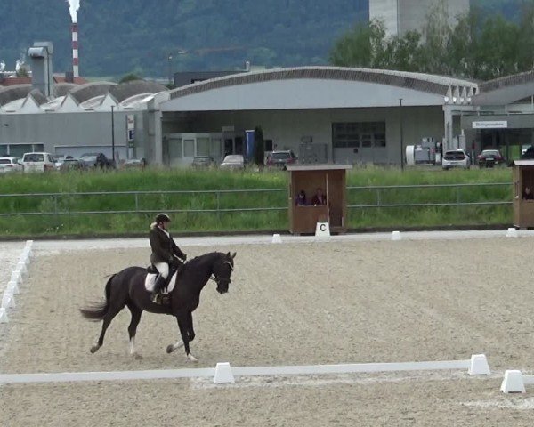 Reitturnier Werdenberg 2024