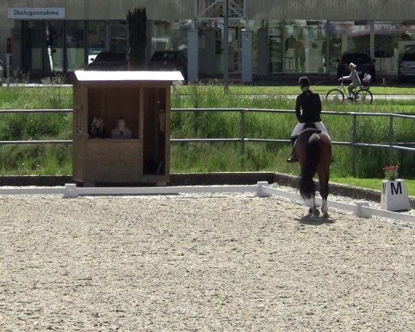 Reitturnier Werdenberg 2024