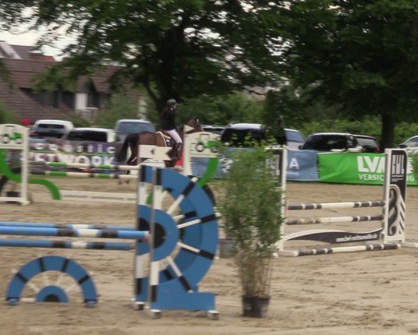 Reitturnier Iserlohn-Kalthof 2024