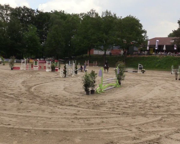 Reitturnier Iserlohn-Kalthof 2024