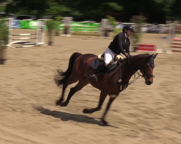 Reitturnier Iserlohn-Kalthof 2024
