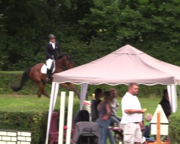 Reitturnier Westeregeln 2024