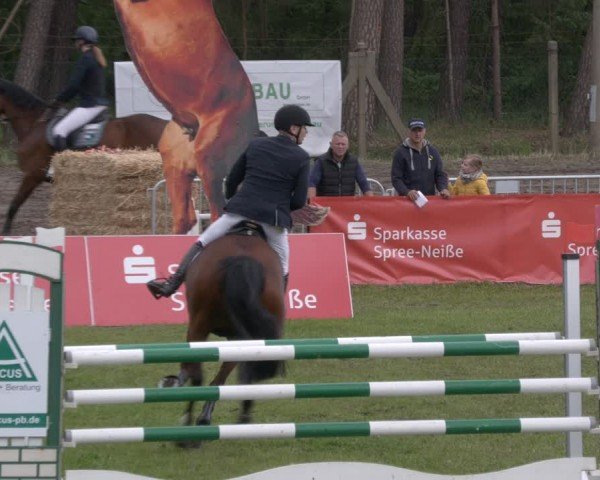 Reitturnier Cottbus-Sielow 2024