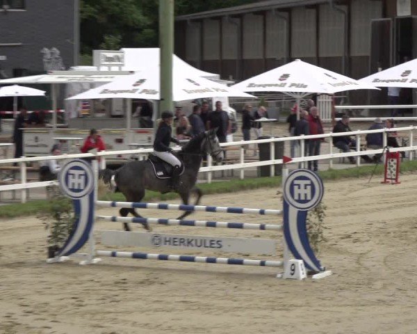 Reitturnier Siegen-Weidenau  2024
