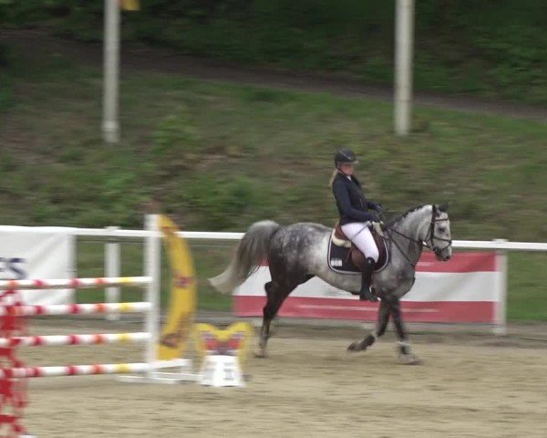 Reitturnier Siegen-Weidenau  2024