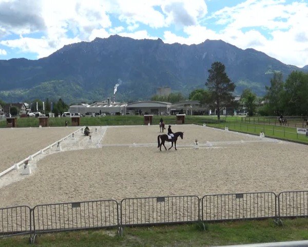 Reitturnier Werdenberg 2024