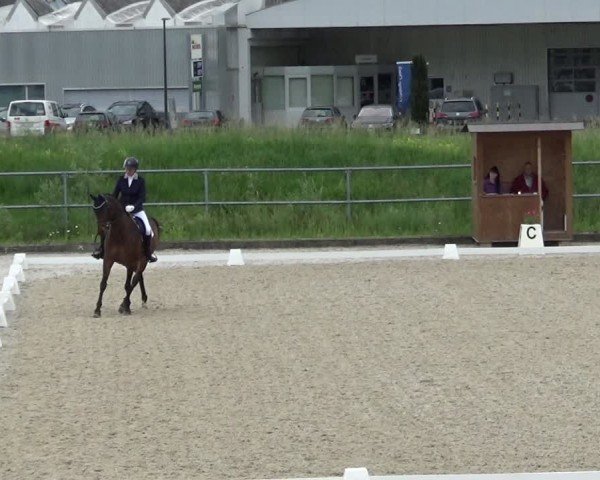 Reitturnier Werdenberg 2024