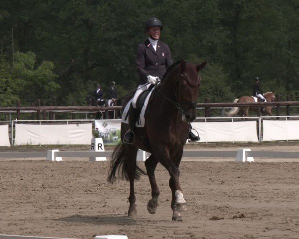 Reitturnier Frechen-Grefrath - Sonnenhof 2024