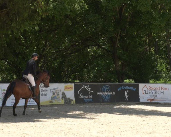 Reitturnier Karlsfeld/Obb. 2024