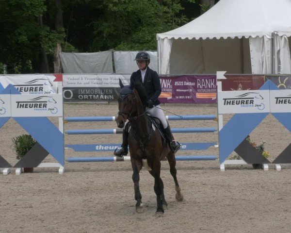 Reitturnier Karlsfeld/Obb. 2024
