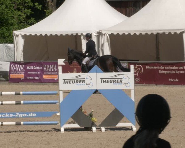 Reitturnier Karlsfeld/Obb. 2024