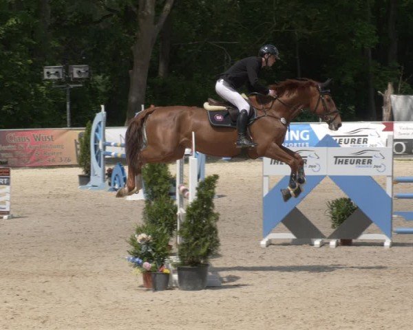 Reitturnier Karlsfeld/Obb. 2024