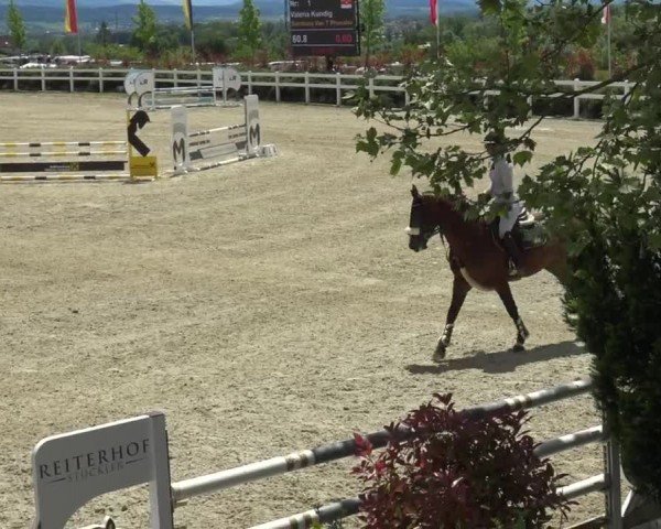 Reitturnier St. Margarethen 2024
