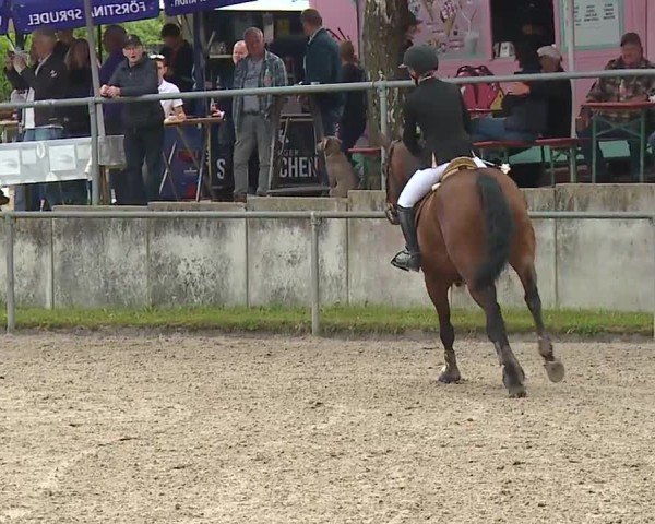 Reitturnier Landenhausen 2024