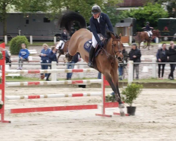 Reitturnier Forst 2024