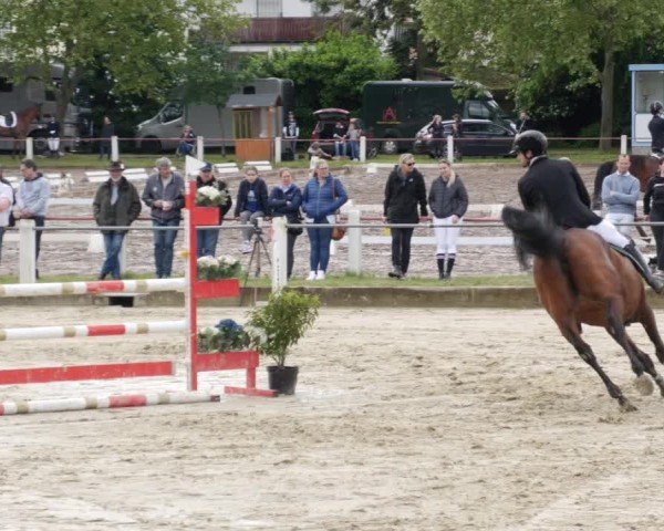 Reitturnier Forst 2024