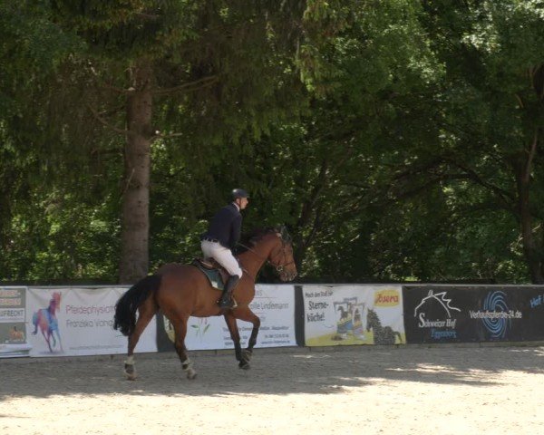 Reitturnier Karlsfeld/Obb. 2024