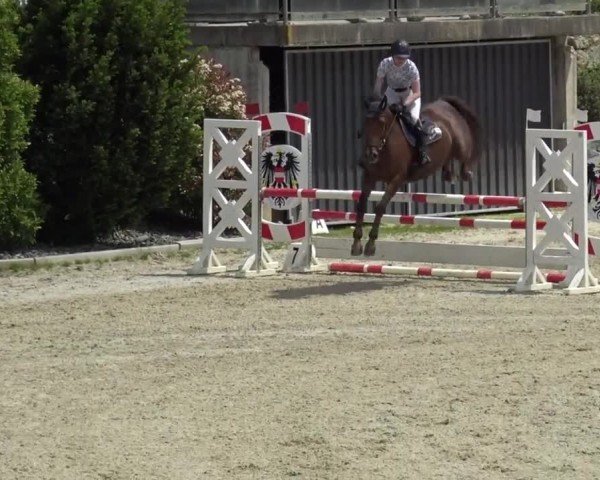 Reitturnier St. Margarethen 2024