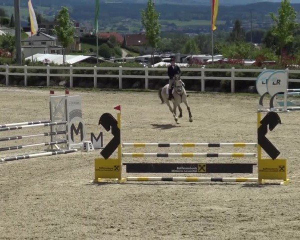 Reitturnier St. Margarethen 2024