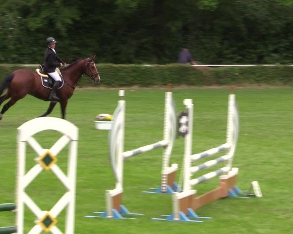 Reitturnier Westeregeln 2024