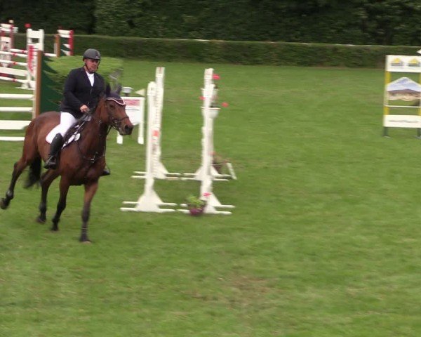 Reitturnier Westeregeln 2024