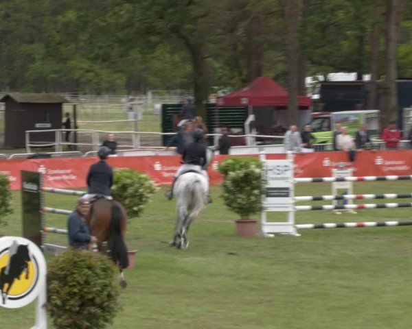 Reitturnier Cottbus-Sielow 2024