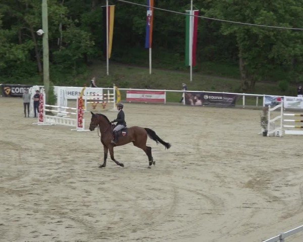 Reitturnier Siegen-Weidenau  2024
