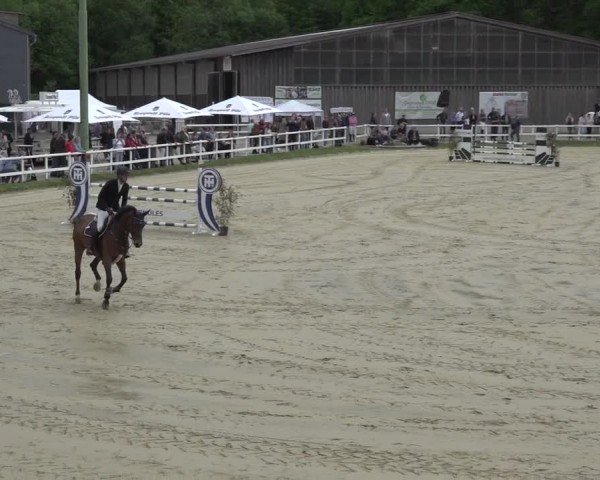 Reitturnier Siegen-Weidenau  2024