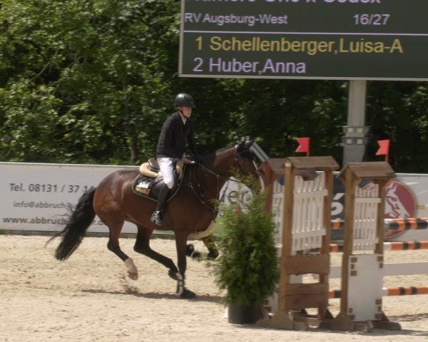 Reitturnier Karlsfeld/Obb. 2024