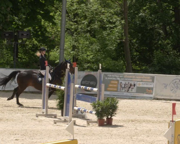 Reitturnier Karlsfeld/Obb. 2024
