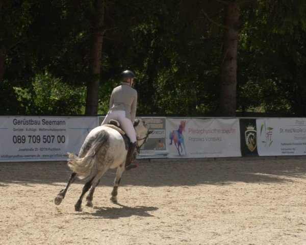 Reitturnier Karlsfeld/Obb. 2024