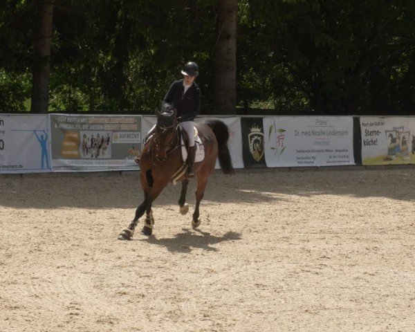 Reitturnier Karlsfeld/Obb. 2024