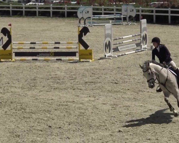 Reitturnier St. Margarethen 2024