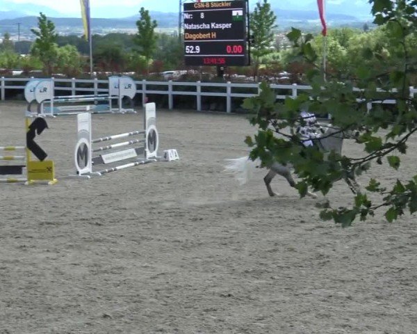 Reitturnier St. Margarethen 2024