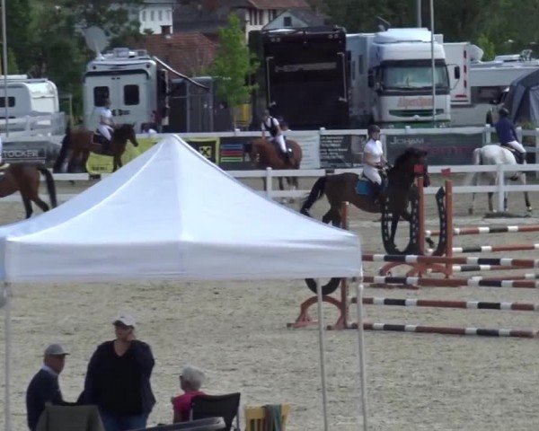 Reitturnier St. Margarethen 2024