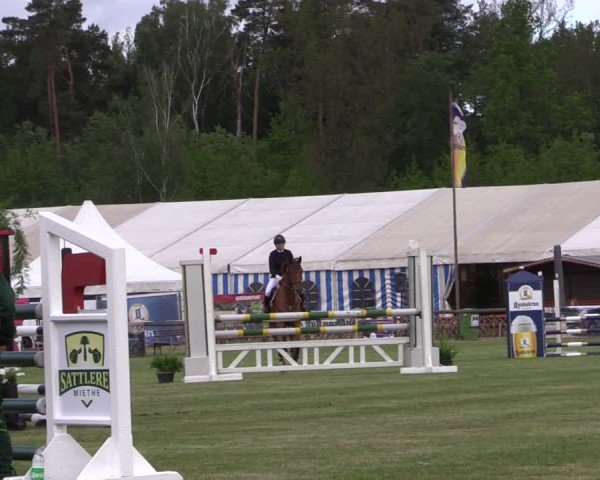 Reitturnier Horka 2024