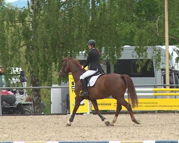 Reitturnier Landenhausen 2024