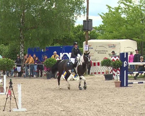 Reitturnier Landenhausen 2024