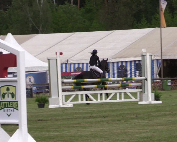 Reitturnier Horka 2024