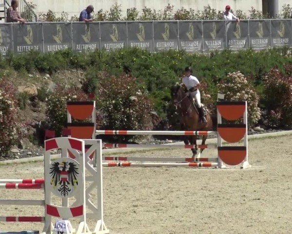 Reitturnier St. Margarethen 2024