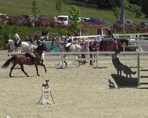Reitturnier St. Margarethen 2024