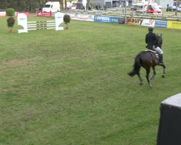 Reitturnier Cottbus-Sielow 2024